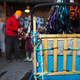 Image for article titled Where the Dogs Are: A Dogsledding Photo Diary